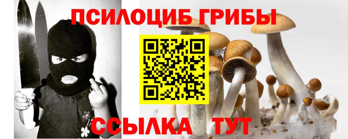Галлюциногенные грибы GOLDEN TEACHER  Вход с VPN  Ачинск  Галлюциногенные грибы мухоморы 